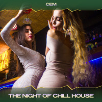 Cem - The Night of Chill House (Rhythm in Deep Mix, 24 Bit Remastered)