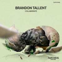Brandon Tallent - Collaborate