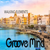 Groove Mind - WALKING ELEMENTS