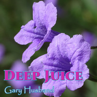 Gary Husband - Deep Juice