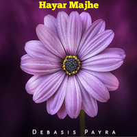 Debasis Payra - Hayar Majhe
