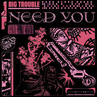 Big Trouble - Need You