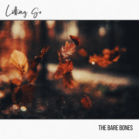 The Bare Bones - Letting Go