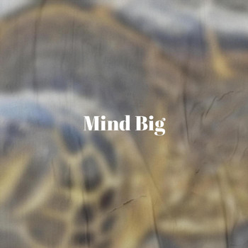 Various Artists - Mind Big