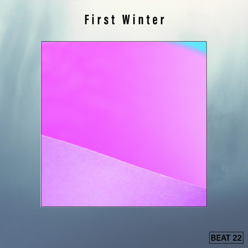 Various Artists - First Winter Beat 22