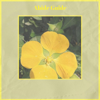 Various Artists - Abide Guide