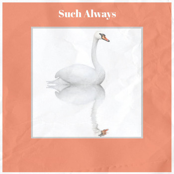 Various Artists - Such Always