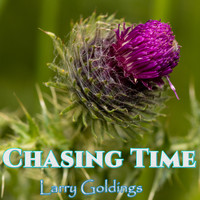 Larry Goldings - Chasing Time
