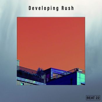 Various Artists - Developing Rush Beat 22