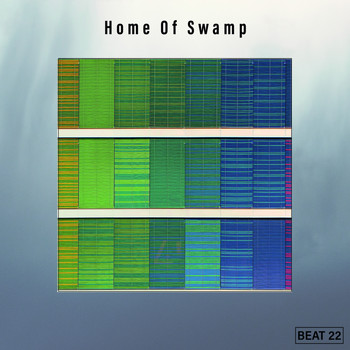 Various Artists - Home Of Swamp Beat 22