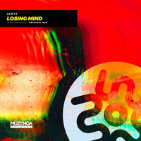Senyx - Losing Mind