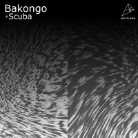 Bakongo - Iceberg