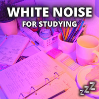 White Noise - White Noise For Studying (Endless Loop)