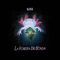 Nana - La foresta dei Bonsai