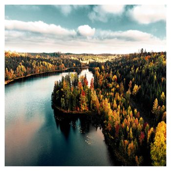 Egor Grushin - October