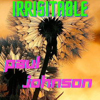 Paul Johnson - Irrisistable