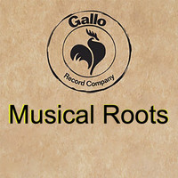 Musical Roots - Musical Roots