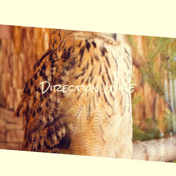 Various Artists - Direction Wise