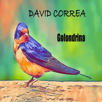 David Correa - Golondrina