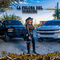 La Felona del Corrido - El Corrido de Vico Hernandez (Explicit)