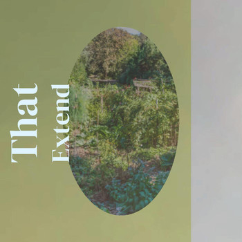 Various Artists - That Extend