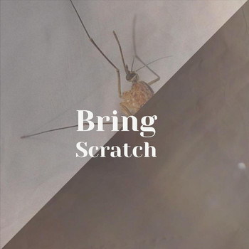 Various Artists - Bring Scratch