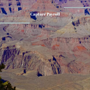 Various Artists - Capture Payroll
