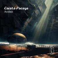 Acobas - Calata Pacaya
