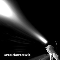 Skyfever - Even Flowers Die
