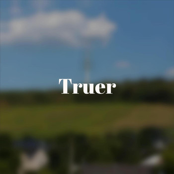 Various Artists - Truer