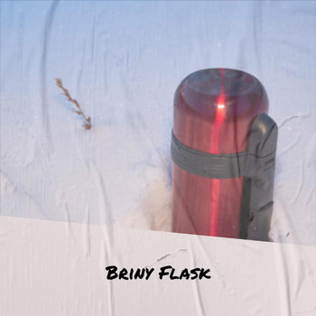 Various Artists - Briny Flask