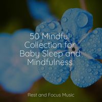 Meditation Zen, Soothing White Noise for Infant Sleeping and Massage, Monarch Baby Lullaby Institute - 50 Mindful Collection for Baby Sleep and Mindfulness