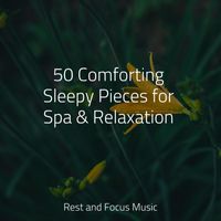 Calm shores, Sound Sleeping, Asian Zen Spa Music Meditation - 50 Comforting Sleepy Pieces for Spa & Relaxation
