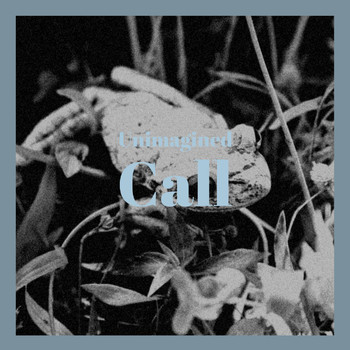 Various Artists - Unimagined Call