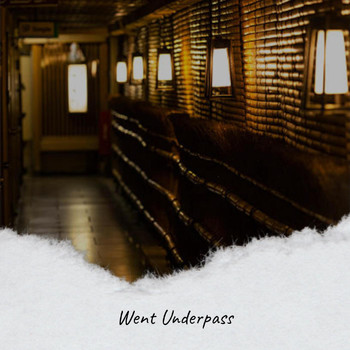 Various Artists - Went Underpass