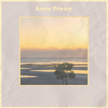 Various Artists - Knew Pricier