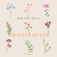Edward Maya - Miracles of Life
