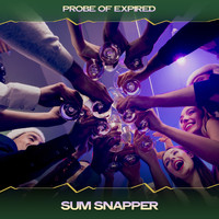 Probe Of Expired - Sum Snapper (24 Bit Remastered)