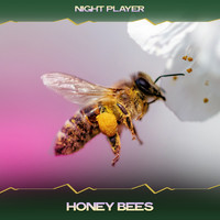 Night Player - Honey Bees (London Grooves Mix, 24 Bit Remastered)