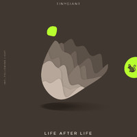 TINYgiant - Life After Life