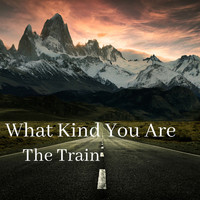 The Train - What Kind You Are