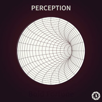 Andro V - Perception