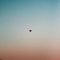 Sparky - fever harmony