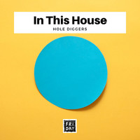 Hole Diggers - In This House