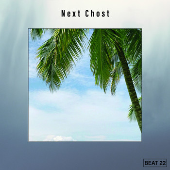 Various Artists - Next Beat 22