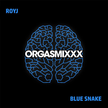 RoyJ - Blue Snake
