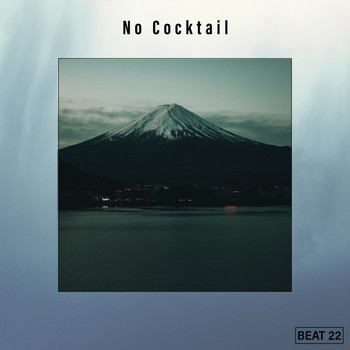 Various Artists - No Cocktail Beat 22