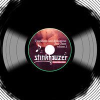 Stinkhauzer - Unambient jazz jams, Vol. 1