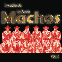 Banda Machos - Los Exitos De La Banda Machos, Vol. 2