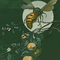 Édith Piaf - The Apple Tree and the Bumble Bee